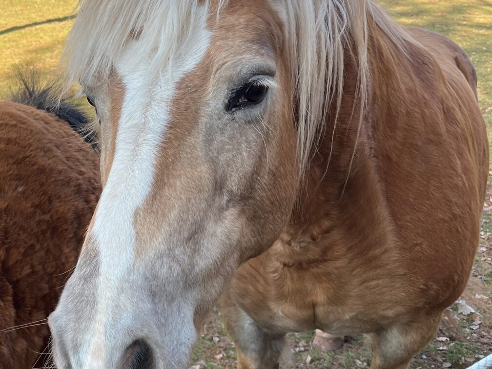 23-03-01 12-07-07 4508